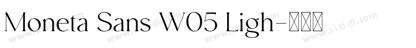 Moneta Sans W05 Ligh字体转换